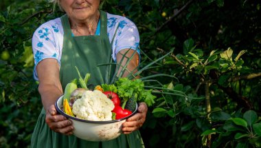 Bahçede elinde bir kase sebze tutan yaşlı kadın..