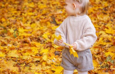 Sonbahar parkındaki küçük kız. sonbahar