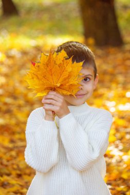 Sonbahar parkındaki mutlu çocuk. Sonbahar