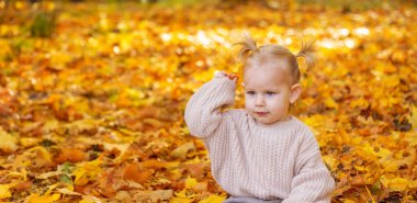 Güzel bir sonbahar parkında küçük bir kız. Altın sonbahar