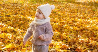 Güzel bir sonbahar parkında küçük bir kız. Altın sonbahar