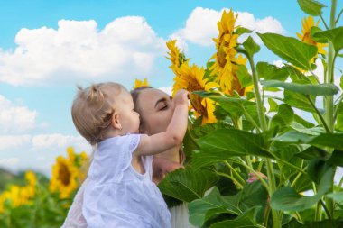 Ayçiçeği tarlasında kucağında küçük bir çocukla güzel bir genç kadın. Bir anne küçük kızına sarılır.