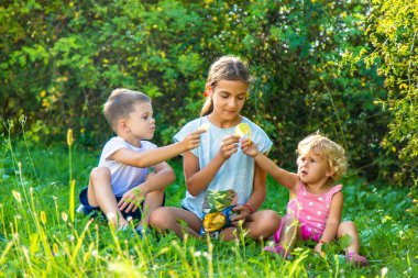 Doğada cips yiyen gülümseyen çocuklar.
