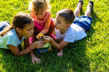 Doğada cips yiyen gülümseyen çocuklar.