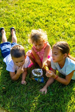 Doğada cips yiyen gülümseyen çocuklar.