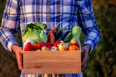 Bahçede sebze tutan çiftçi. ev yapımı sebzeler