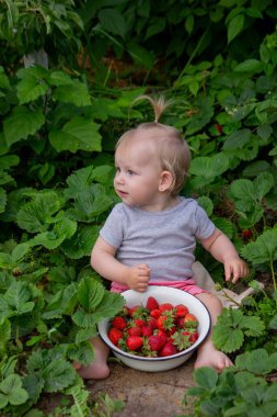 Küçük kız bahçede çilek yiyor.