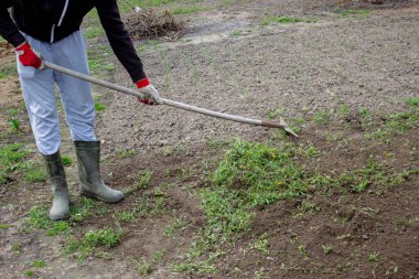 Yabani otlar: Toprağı ekim için hazırlama.