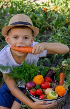 Bahçede bir kase taze sebzeli çocuk.
