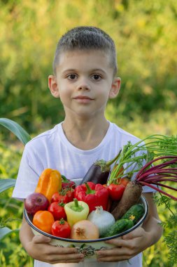Bahçede bir kase taze sebzeli çocuk.