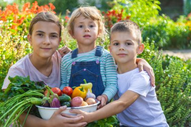 Çocuklar bahçede bir kase sebzeyle hasat topluyor..