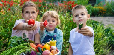 Çocuklar bahçede bir kase sebzeyle hasat topluyor..
