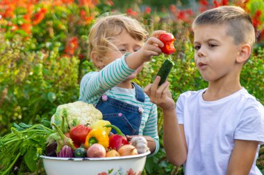 Bahçede bir kase sebzeli çocuklar toplanıyor. Seçici odak.