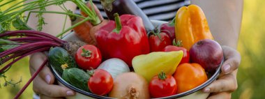 Female farmer holding bowl with fresh vegetables, harvesting in garden. clipart