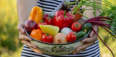 Kadın çiftçi elinde taze sebzelerle kaseyle bahçede hasat yapıyor..
