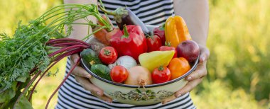 Kadın çiftçi elinde taze sebzelerle kaseyle bahçede hasat yapıyor..