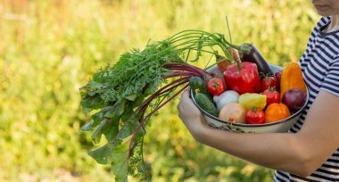 Kadın çiftçi elinde taze sebzelerle kaseyle bahçede hasat yapıyor..