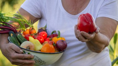 Elinde taze sebze kasesi olan, bahçede hasat yapan bir kadın..