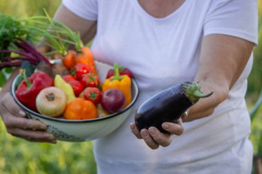 Elinde taze sebze kasesi olan, bahçede hasat yapan bir kadın..