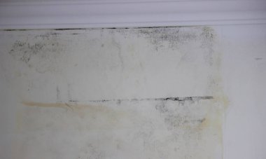 Duvara küf temizleme spreyi.