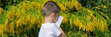 Çocuk Hapşıran Açık Hava Goldenrod Fabrikaları, Mevsimsel Alerji Konsepti.