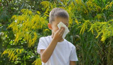 Çocuk Hapşıran Açık Hava Goldenrod Fabrikaları, Mevsimsel Alerji Konsepti.