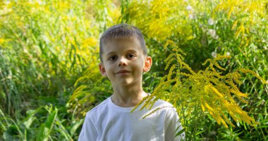 Çocuk Hapşıran Açık Hava Goldenrod Fabrikaları, Mevsimsel Alerji Konsepti.