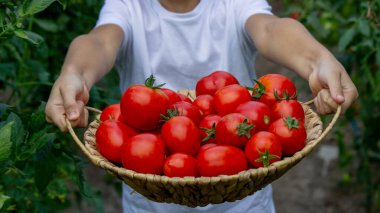 Bahçede Domatesli Çocuk.