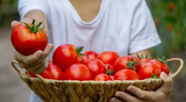 Bahçede Domatesli Çocuk.