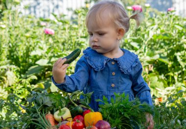 Bahçede Taze Sebze Toplayan Küçük Kız.