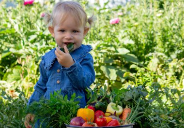 Bahçede Taze Sebze Toplayan Küçük Kız.