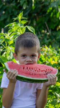 Bahçede karpuz yiyen bir çocuk. Seçici odak.