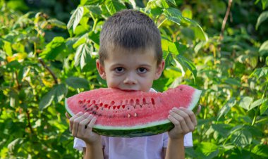 Bahçede karpuz yiyen bir çocuk. Seçici odak.