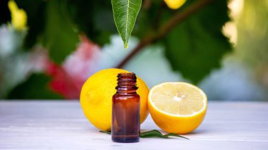 Kavanozda limon yağı, taze limon. Seçici odak