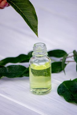 herbal essential oil in a small bottle. Selective focus clipart