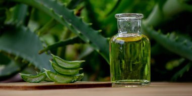 Aloe vera küçük bir şişede gerekli yağ. Seçici odak.