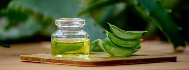 Aloe vera küçük bir şişede gerekli yağ. Seçici odak.