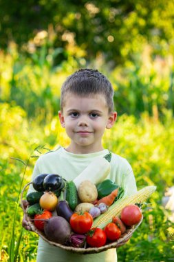 Bahçede elinde sepet dolusu taze toplanmış sebze tutan bir çocuk..