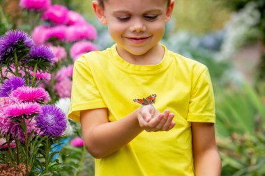 Çocuk bahçede bir kelebek yakalar.
