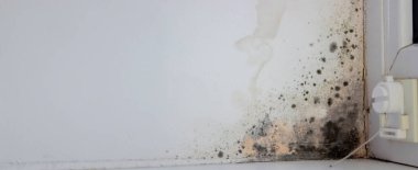 Pencerenin köşesinde belirgin küf istilası var. Bu da havalandırmanın zayıf olduğunu gösteriyor.