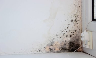 Pencerenin köşesinde belirgin küf istilası var. Bu da havalandırmanın zayıf olduğunu gösteriyor.