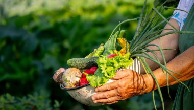 Bahçe arka planında bir kase sebze tutan yaşlı kadın. Seçici odak.
