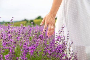 Kadının eli hafifçe lavanta çiçeklerine dokunuyor.