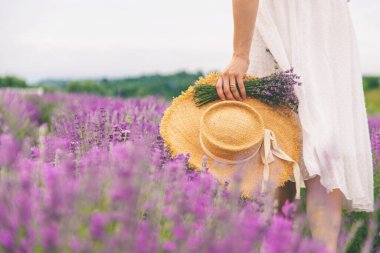 Lavanta buketi ve lavanta tarlasında elinde şapka tutan kadın..