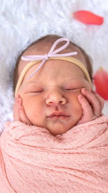 Beyaz arka planda uyuyan küçük kız ve etrafında gül yaprakları.