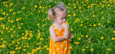 Küçük kız çayırda bir buket karahindiba tutuyor..