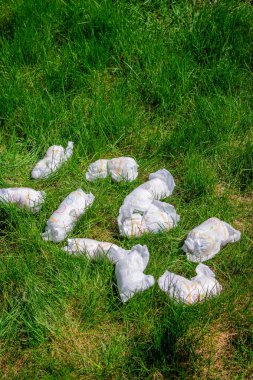 Bebek bezi atıkları, kirli bebek bezleri. İmha et. Tek kullanımlık bezlerin çevre üzerindeki etkisi. Çevre kirliliği