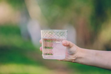Doğanın arka planında bir bardak su.