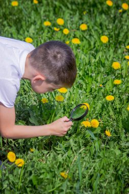 Çocuk büyüteçten çiçeğe bakıyor.