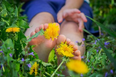 Yalınayak, yeşil çimenlerin üzerinde sarı karahindiba çiçekleri olan bir çocuğun resmini çek. Yaz mevsimi